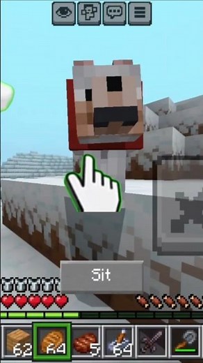 Minecraft dog moment