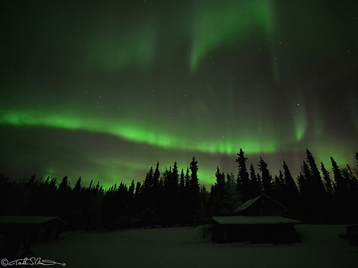 世界一晴天率の高いフェアバンクスでオーロラ鑑賞 [オーロラ] All About