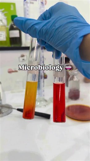Microbiology #Foryou #Scientist #MolecularBiology #Molecularbiologist #foryou