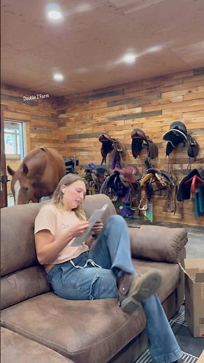 Go back into horse land, Zeena. #horses #equestrianjourney #farmanimals #fallintoshorts