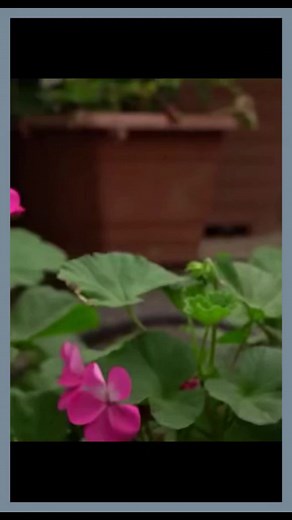 scottmorris184 on TikTok