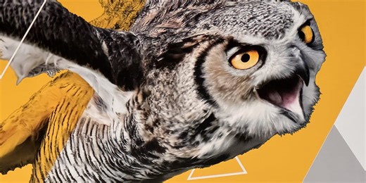 Kennesaw State students ready for second ever NCAA Tournament appearance