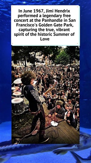 Jimi Hendrix at the SF Panhandle (1967) 🎸