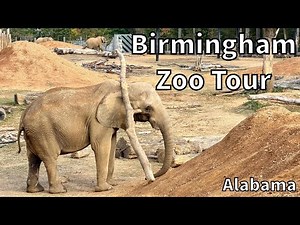 Tour of the Birmingham Zoo - Birmingham, Alabama - USA