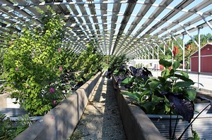 Turtle Survival Center - Turtle Survival Alliance