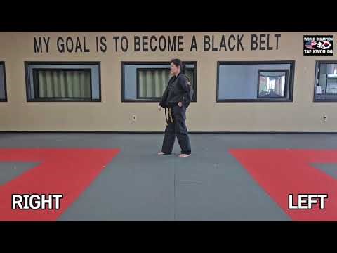 Taekwondo Basic Form #2 (Beginner Pattern)