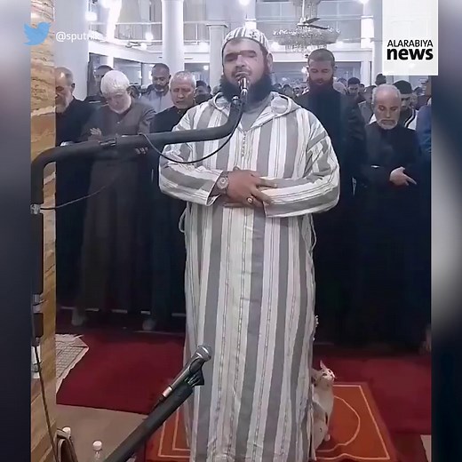 Watch: A live broadcast shows the heart-warming moment a cat interrupted an imam in Algeria as he was leading Ramadan prayers in a mosque earlier this week. https://english.alarabiya.net/News/world/2023/04/06/Watch-A-cat-interrupts-imam-s-Ramadan-prayers-in-heart-warming-moment- | Al Arabiya English