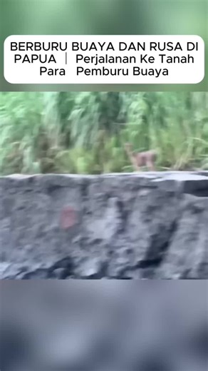 HTH Havent (@hth.havent)’s videos with original sound - HTH Havent