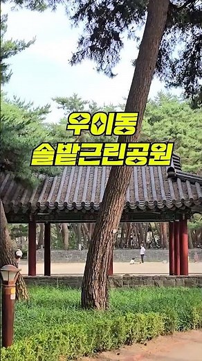 서울에 이런 곳이 있었다고? 몰라서 못 가는 서울여행지 4곳 소개해드릴게요. 서울 가볼만한 곳 보고 가세요!#서울가볼만한곳 #서울여행지 #서울핫플 #서울여행 #청와대사랑채