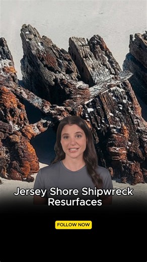 Long-lost shipwreck resurfaces on Jersey Shore as officials warn against disturbing the ruins The remnants of a 19th-century shipwreck have emerged from beneath the sands of a New Jersey beach. The ruins were recently found at Island Beach State Park, a narrow barrier island along the Jersey Shore in Ocean County. In a Jan. 22 Facebook post, the state park identified the wreck as the Lawrence N. McKenzie — a cargo ship built in 1883. Jersey Shore shipwreck, Lawrence N. McKenzie, Island Beach Sta