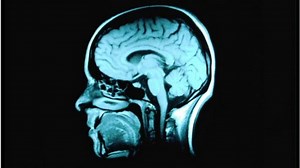 Neuroscientist: 'I discovered I was a psychopath'