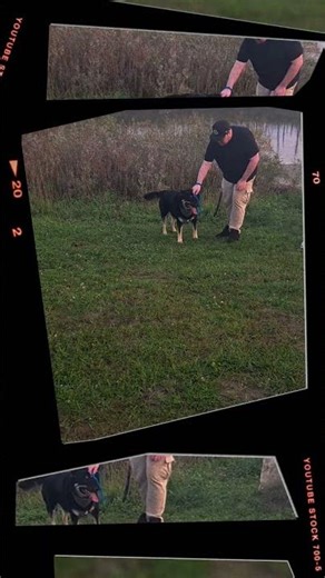 Doggie Plays Soccer #shorts #youtubeshorts #DogSoccer #Playtime #ManAndDog