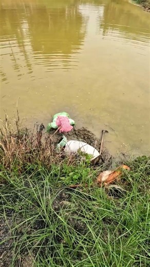 Part - 1 Catching Ell Fish