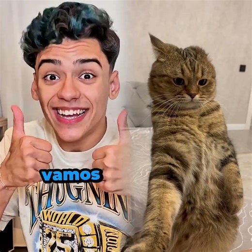 . Para quem passa o dia estressado(a)