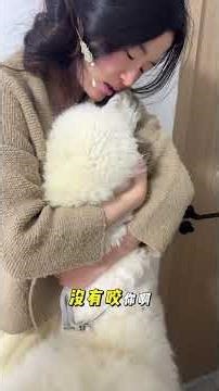 Alpaca's Cry for Justice: Unraveling an Unfair Tale