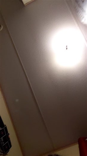 rosieposie:) (@rosiepossee0)’s videos with original sound - Vids - Aesira