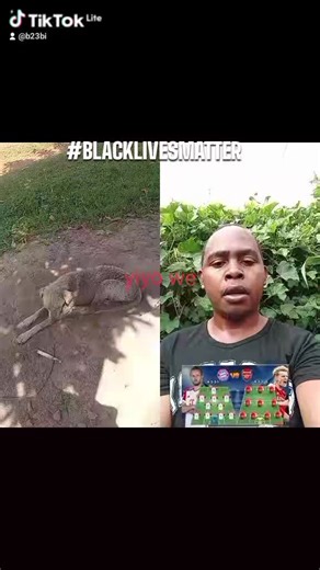 #fyp