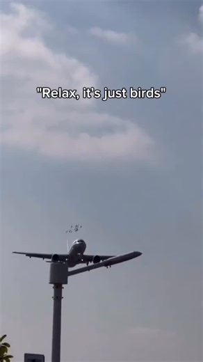 Jeune Pilote on Instagram: "🦅😮‍💨 Update: this isn’t a “bird strike”. It’s a Fan Blade-Off test, where a fan blade is intentionally released to validate the containment ring and engine safety (FAA 33.94 regulation). #aviation #avgeek #pilotlife #airplane #flying #birdstrike #airlines #aircraft #aviationlovers #planespotting"