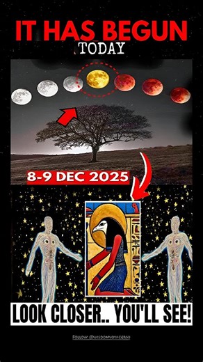 Watch This on December 8th… You’ll Understand Why This is So CRUCIAL! If you’re watching this on December 8th, pay very close attention, because today carries a significance you may not fully understand yet, but you will soon. Some days arrive quietly on the calendar... yet spiritually, they mark a turning point. December 8th is one of those days. The energy today feels different, sharper, more intentional. You might sense a shift in your mood, your thoughts, your intuition, or the atmosphere ar