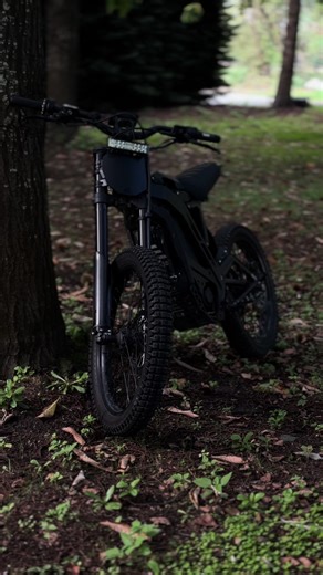 Explore the E Ride Pro E-Bike: Performance and Features