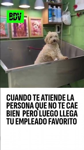 Cuando te atiende la persona que NO TE CAE BIEN pero luego llega tu persona FAVORITA