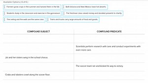 Based on the image, categorize the sentences into compound subj... | Filo