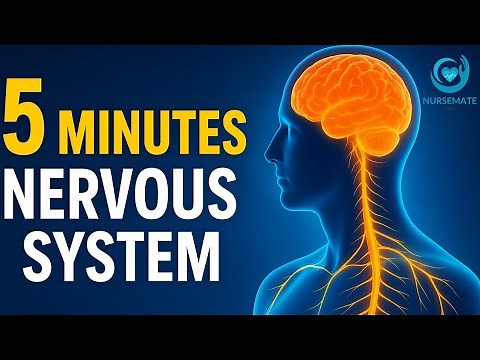 Nervous System Made Easy for Nursing Students