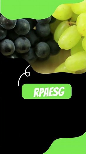 unscramble words | jumble words | Fun Word Puzzle: Unscramble and Learn New Words!