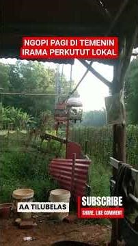 Ngopi di pagi hari ☕