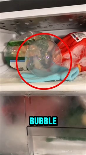 What Happens If You Put a Bubble in a Refrigerator‼️😱