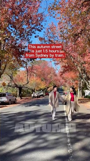 This autumn street is only 1.5 hours from Sydney by train… 🍂 👀✨