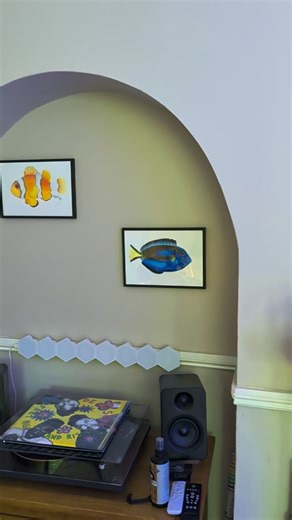 Matt 🇬🇧 on Instagram: "Tank transfer day 🥳 opening numbers: KH 7.5 NO3 2.2 PO4 0.15 (need to get that down but not one for now) Here we go 😬 ------------------------------------------------ Proudly supported by @aquaforest.eu DD Pro Reef 1200 @theaquariumsolution Peninsula 25 @waterboxaquariums 3 x OR3 Blue Sky 1 x OR4 Reef Day Plus using Osix Controller @orphek.led 2 x Hydra 32 HD and 1 x Prime 16 HD @theaquariumsolution Hybrid Pro Salt @aquaforest.eu Tunze DC9410 Skimmer @tunze_aquarientec