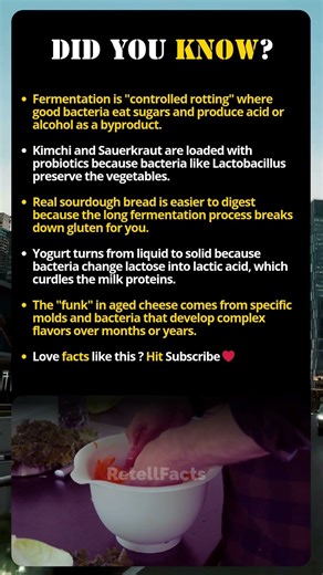 Why Rotten Food Is Actually Healthy