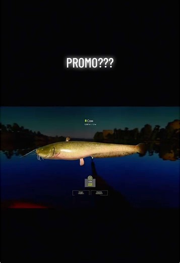 Промо на 1 день, пора поднимать регион. Пишите, на все отвечу, всему научу #русскаярыбалка4 #рр4 #russianfishing4 #гдеклюет #волхов