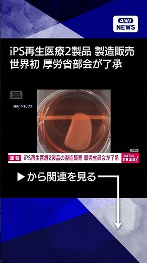 【ニュース】【速報】iPS細胞使った再生医療2製品 厚労省の専門部会が製造販売を了承 世界初へ #shorts