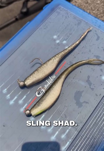 Mastering Rod, Reel & Line Setups for Jerkbait Fishing