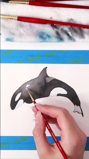 Painting an orca in watercolour in just 25 mins ✨
