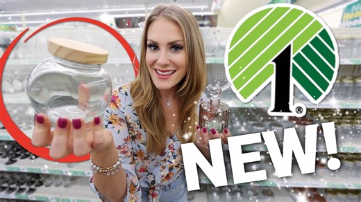 🔥 10 new Dollar Tree organizers + hacks you need! 🔥