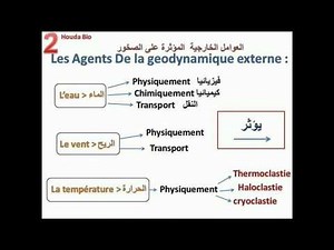 Résumé complet de la géodynamique externe sv2 stu2