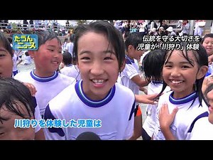 4K たうんニュース2018年7月「久枝小児童が川狩り体験」