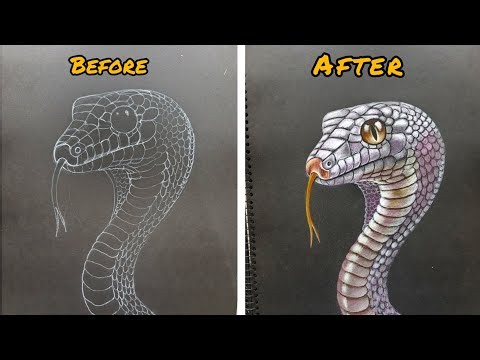 How to Draw A Snack (Cobra) coloured Pencil sketch Tutorial (step by step)