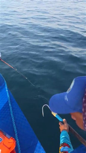 YFT Fish on Board 🎣🐠 #skamberlyf #fishing #yellowfintuna #jigging #enjoyeverymoment | Noel Espinosa