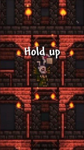 TERRARIA MONEY FARM | Expert Mode