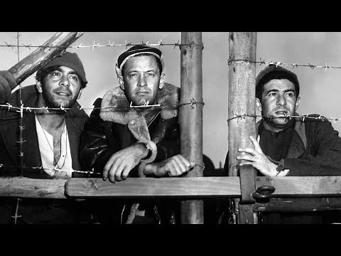 Official Trailer - STALAG 17 (1953, William Holden, Don Taylor, Otto Preminger)