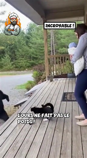 Le chat, un vrai garde du corps contre l'ours ! 😱 - Made with AI | Recettes par le Chef Martin