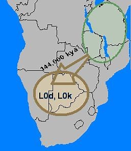 Haplogroup L0 (mtDNA) - Alchetron, The Free Social Encyclopedia