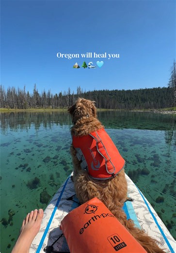 Home to some of the bluest and most tranquil, clear water you will ever see are the sacred waters of Spring Creek right here in Klamath County. If you get the chance to visit, do yourself a favor and rent a kayak or paddle board to experience this place to its fullest! The lands and waters surrounding Spring Creek are sacred tribal land, so make sure to be respectful, LEAVE NO TRACE, and help keep this area naturally beautiful and clean! 📍Spring Creek, Oregon 📸: @MacKenzie | Oregon Vibez ⚡️ #K