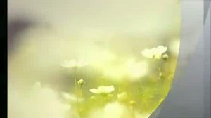 FLOWER IN THE RAIN by Jaci Velasquez with lyrics