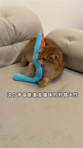 Unleash Your Cat's Playfulness with the Realistic Paper Cat Mint Fish Toy