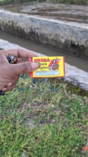 cobra fireworks #trendingshorts